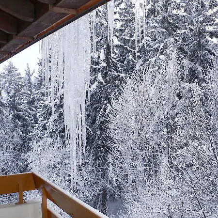 Terrasse Des Alpes 3008 By Interhome Lejlighed