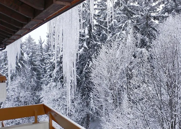 Terrasse Des Alpes 3008 By Interhome דירה