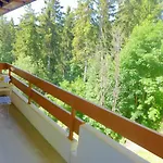Terrasse Des Alpes 3008 By Interhome Lejlighed Vermala